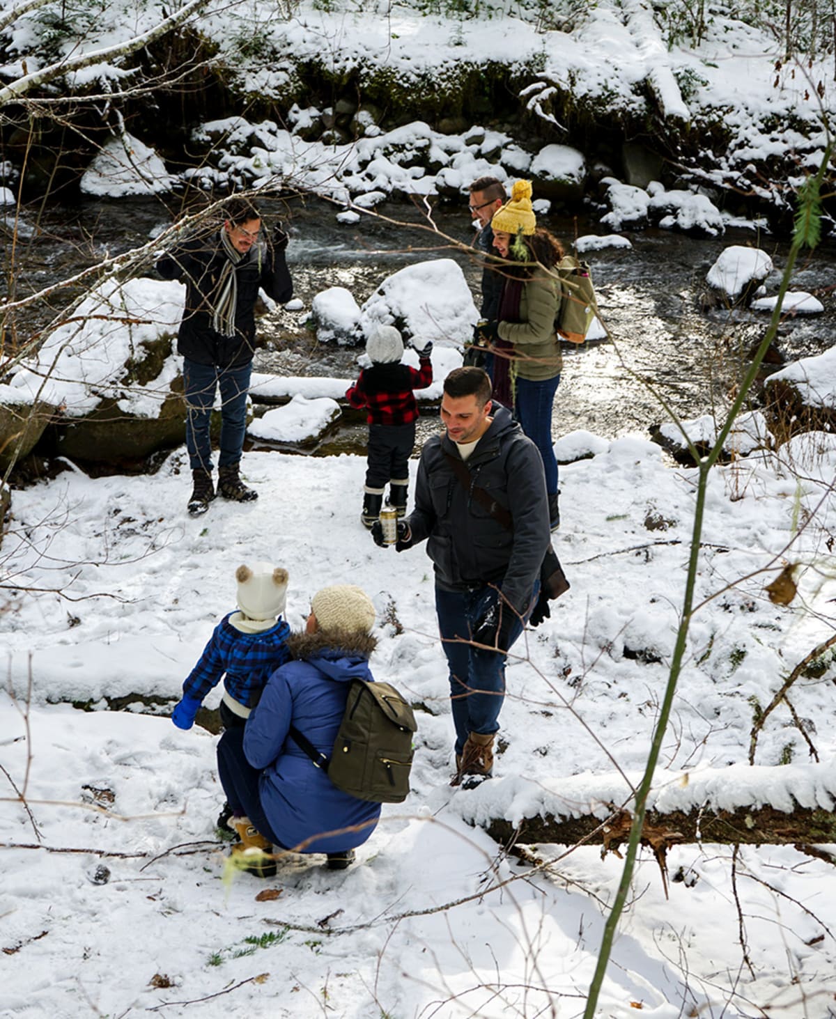 Union Wine Co Christmas Tree Hunt