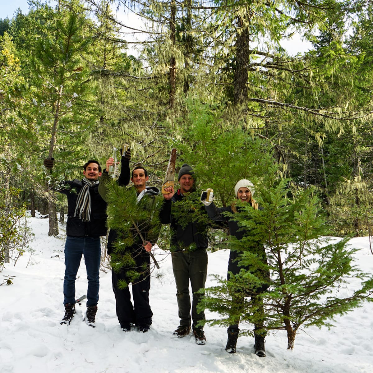 Union Wine Co Christmas Tree Hunt