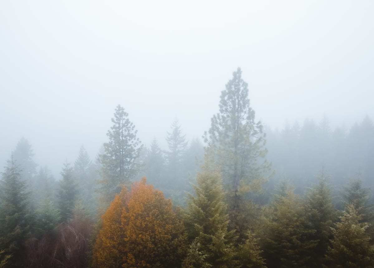 Pickett Butte Oregon