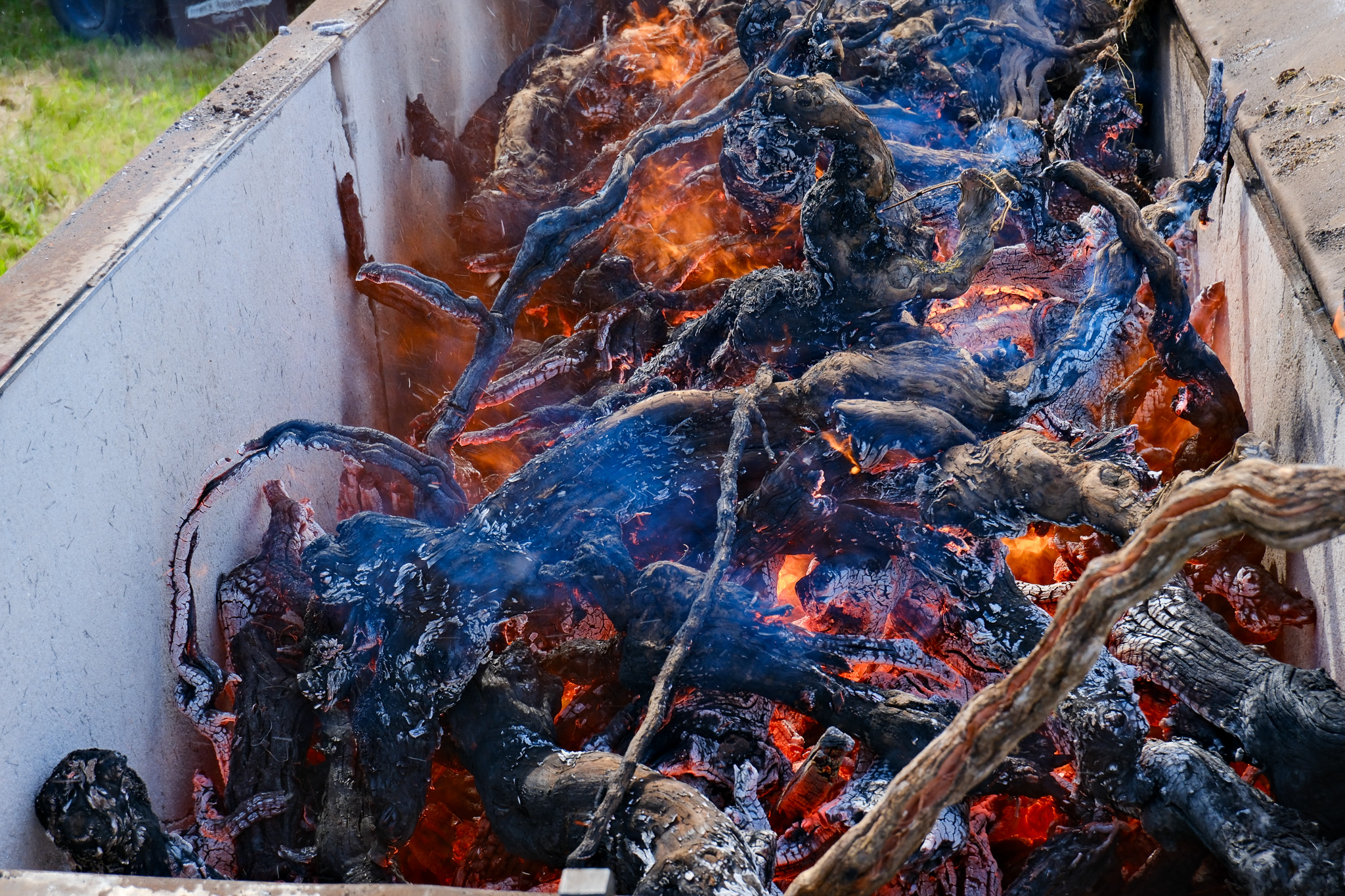 Amity Vineyards Biochar. What Becomes of our Oldest Vines