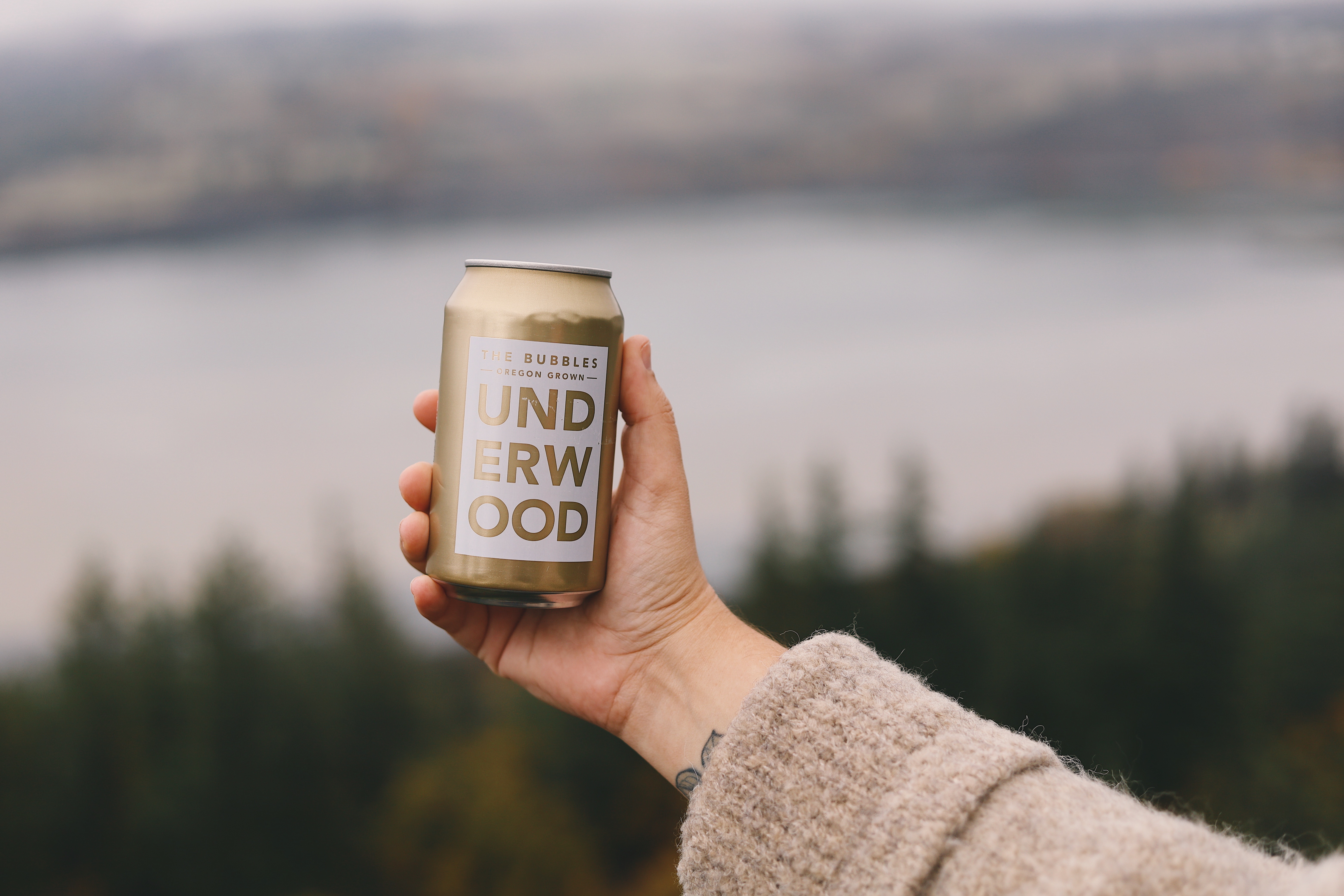 Hand holding a gold can of Underwood bubbly beverage with blurred natural landscape in the background.