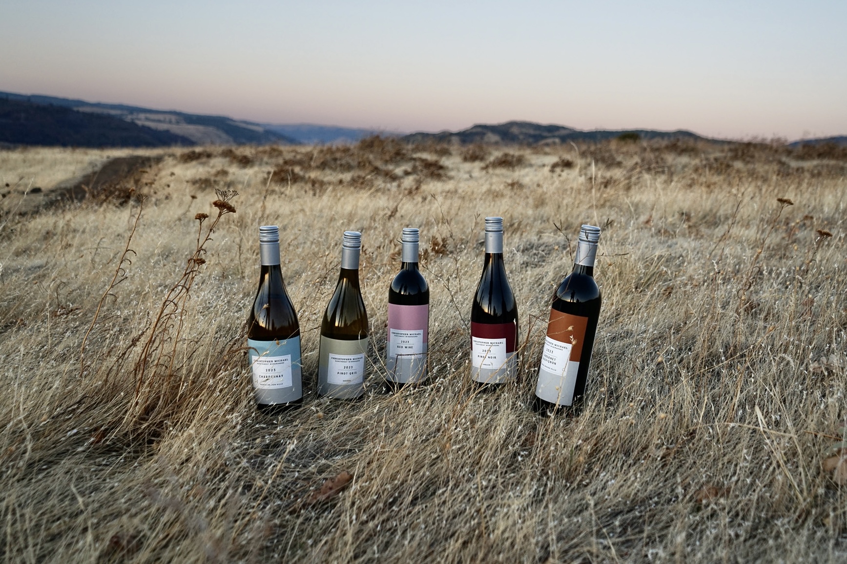 Five wine bottles standing upright in dry grass with hills in the background at dusk.