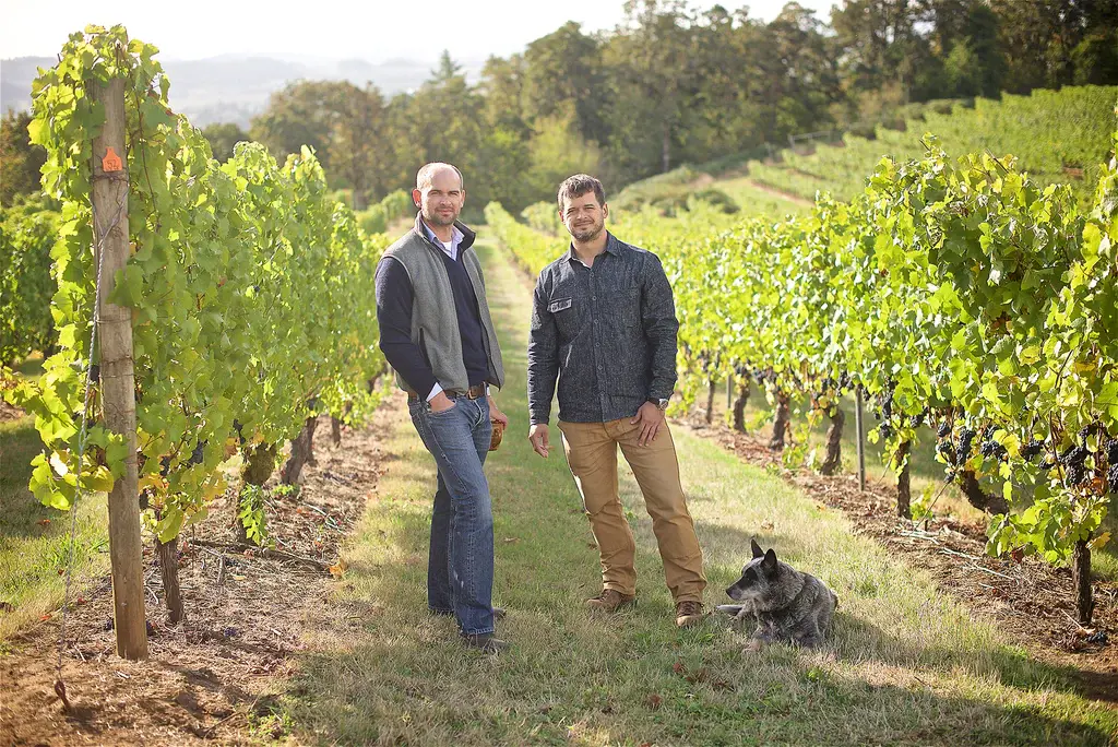 Two men standing in a vineyard with grapevines and a dog sitting on the grass beside them.