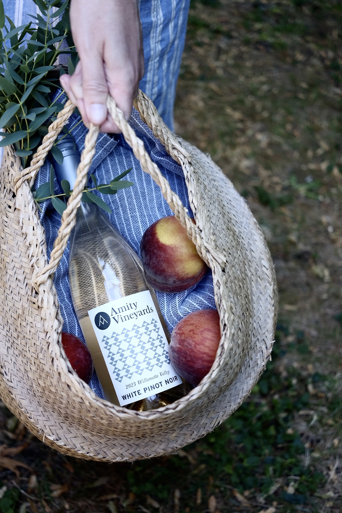 Hand holding a woven basket containing a bottle of Amity Vineyards 2023 Willamette Valley White Pinot Noir, two peaches, and green leaves on a blue striped cloth.