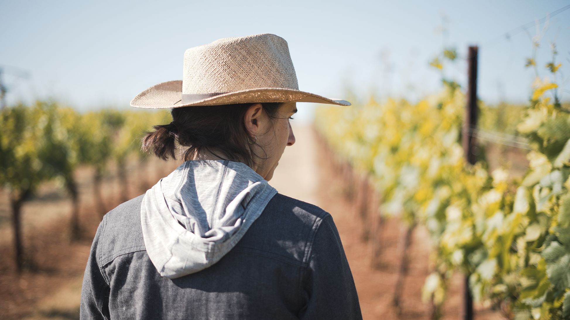 Person with a straw hat and hoodie standing in a vineyard with rows of grapevines under a clear sky.