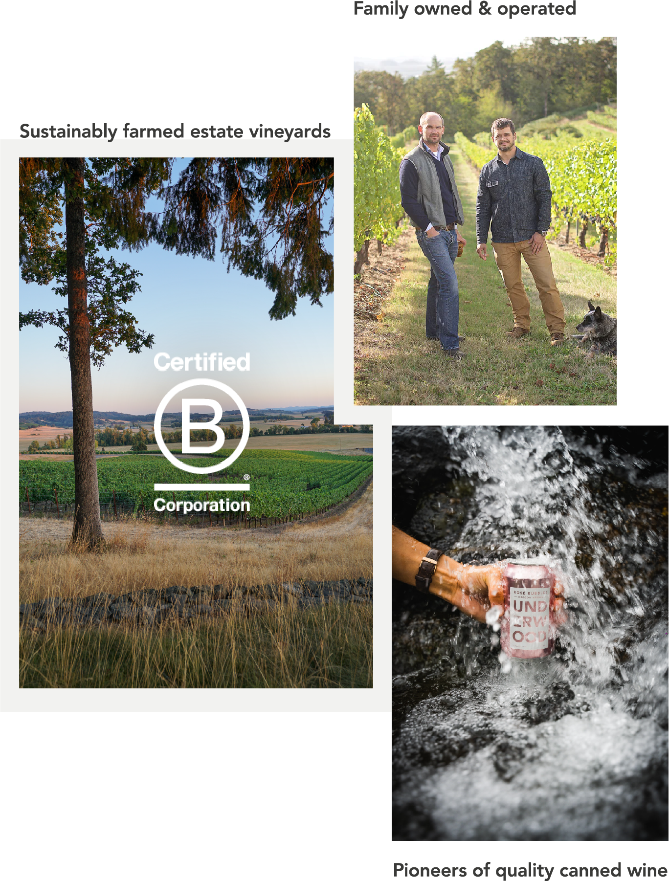 Collage showing a sustainably farmed vineyard landscape with Certified B Corporation logo, two men with a dog in a vineyard, and a hand holding an Underwood canned wine under flowing water.