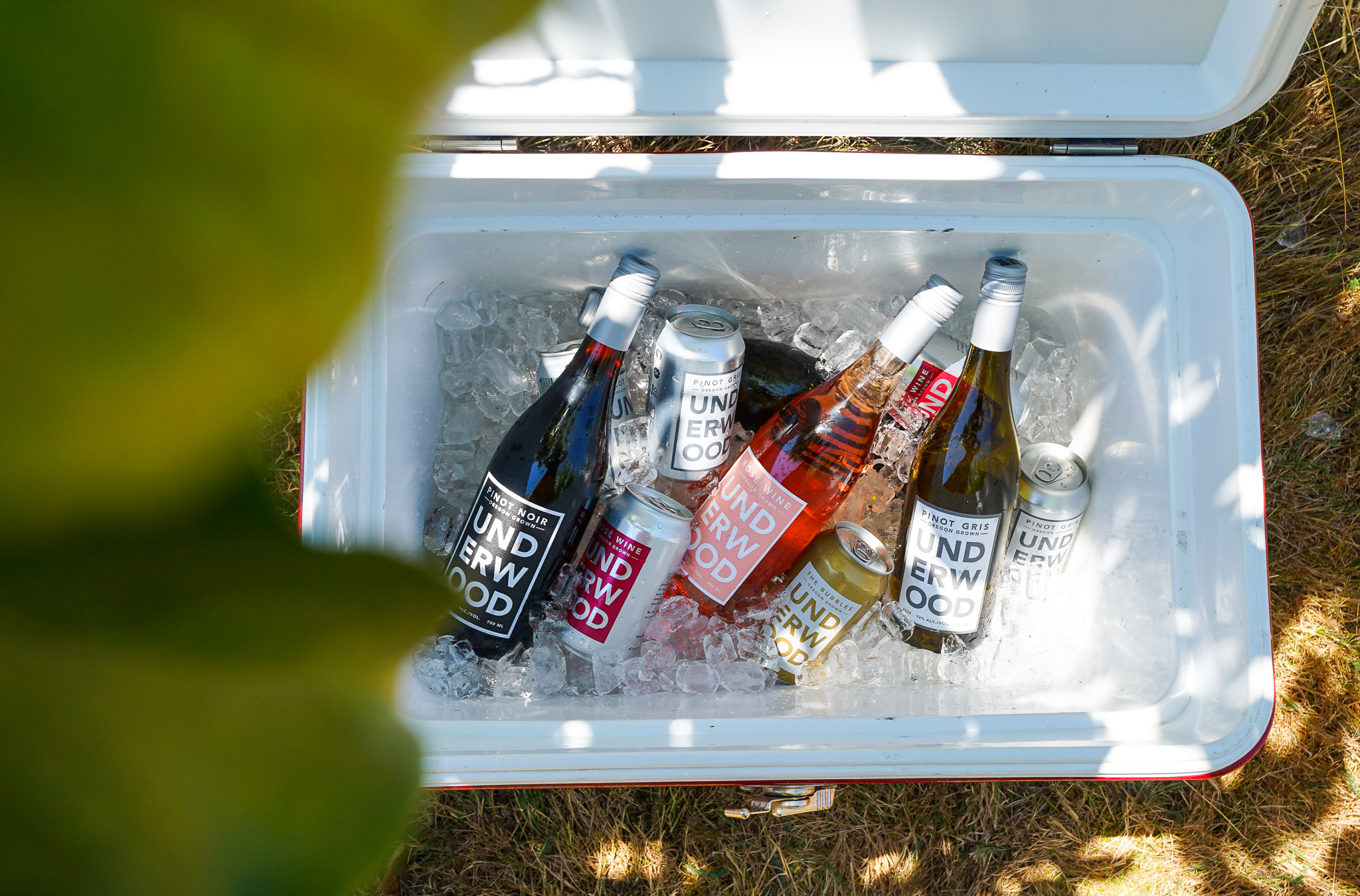 Open cooler filled with ice holding bottles and cans of Underwood wine and sparkling wine on grass.