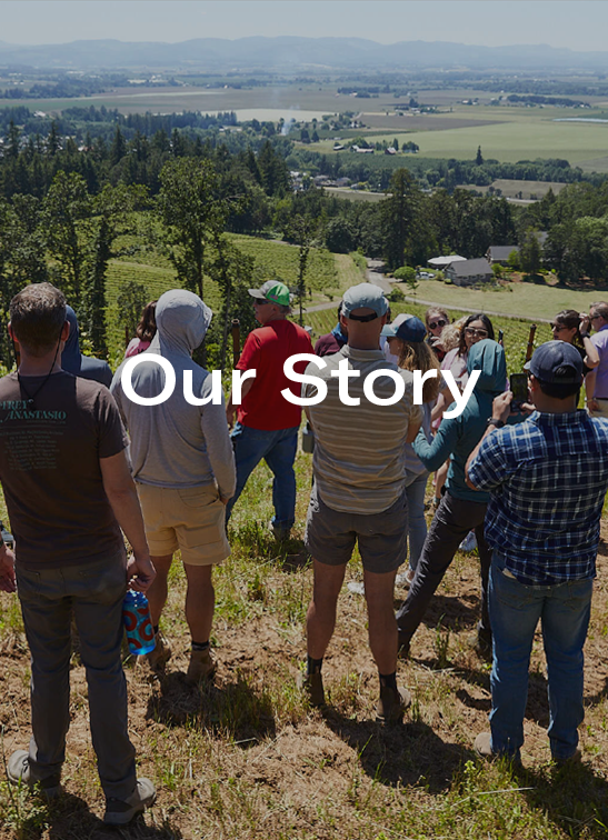 Group of people standing on a hillside overlooking a green valley with farmland under a clear sky, with text 'Our Story' overlayed.
