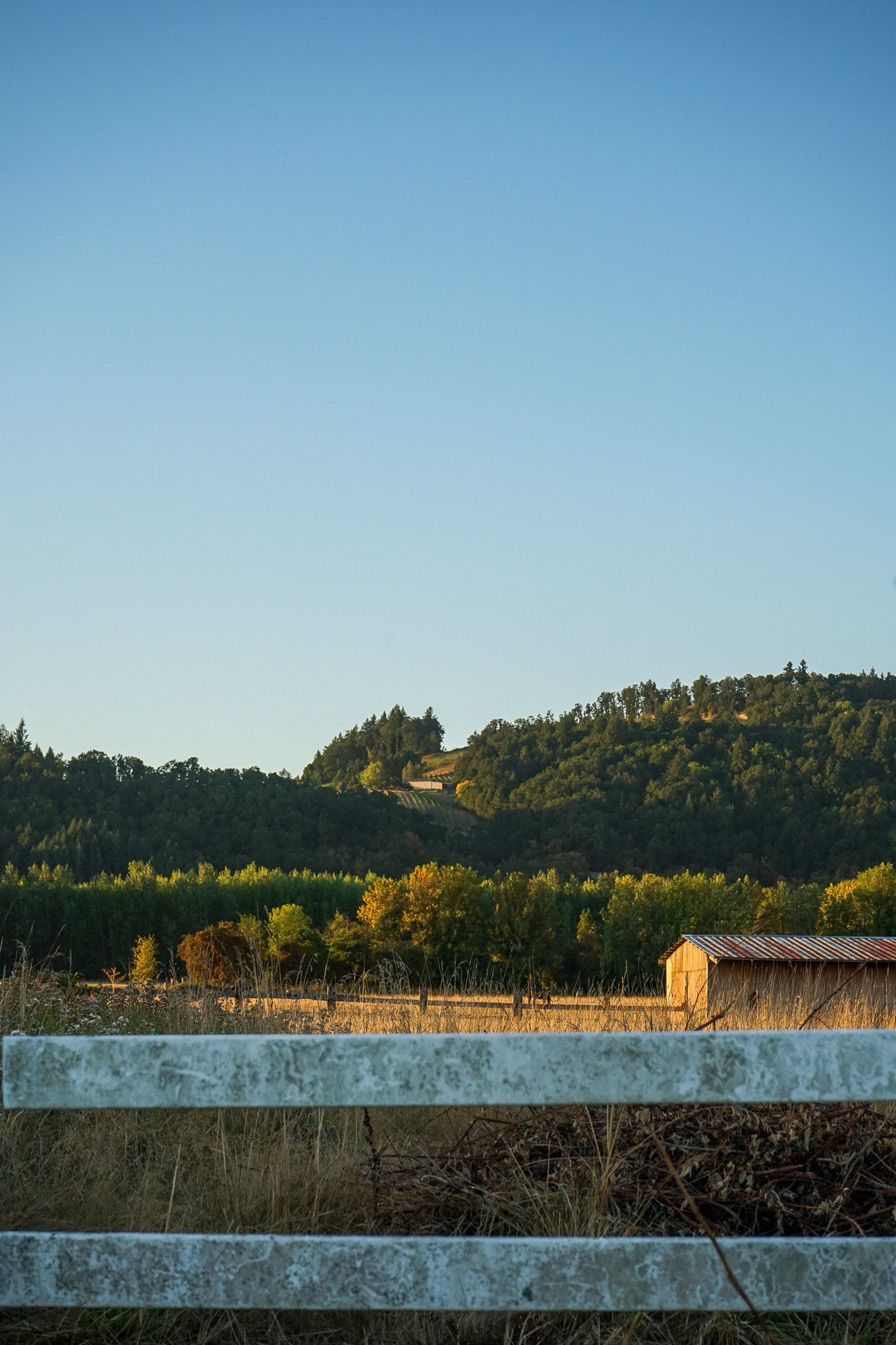 Rustic wooden fence in front of a grassy field, a small wooden shed, and tree-covered hills under a clear blue sky.