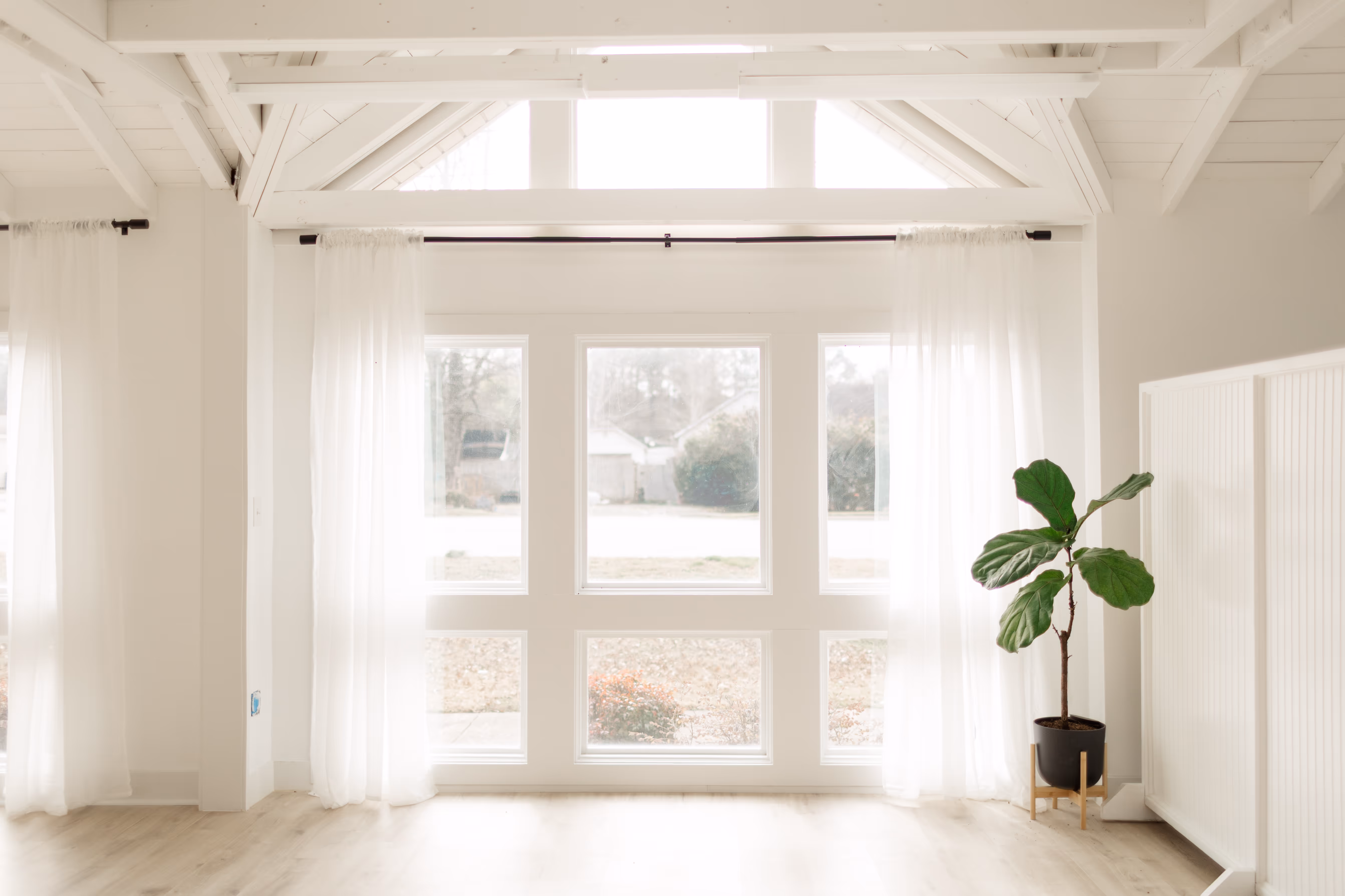 Bright room with large south-facing windows, white sheer curtains, light wood floor, and a bottled plant on the right.