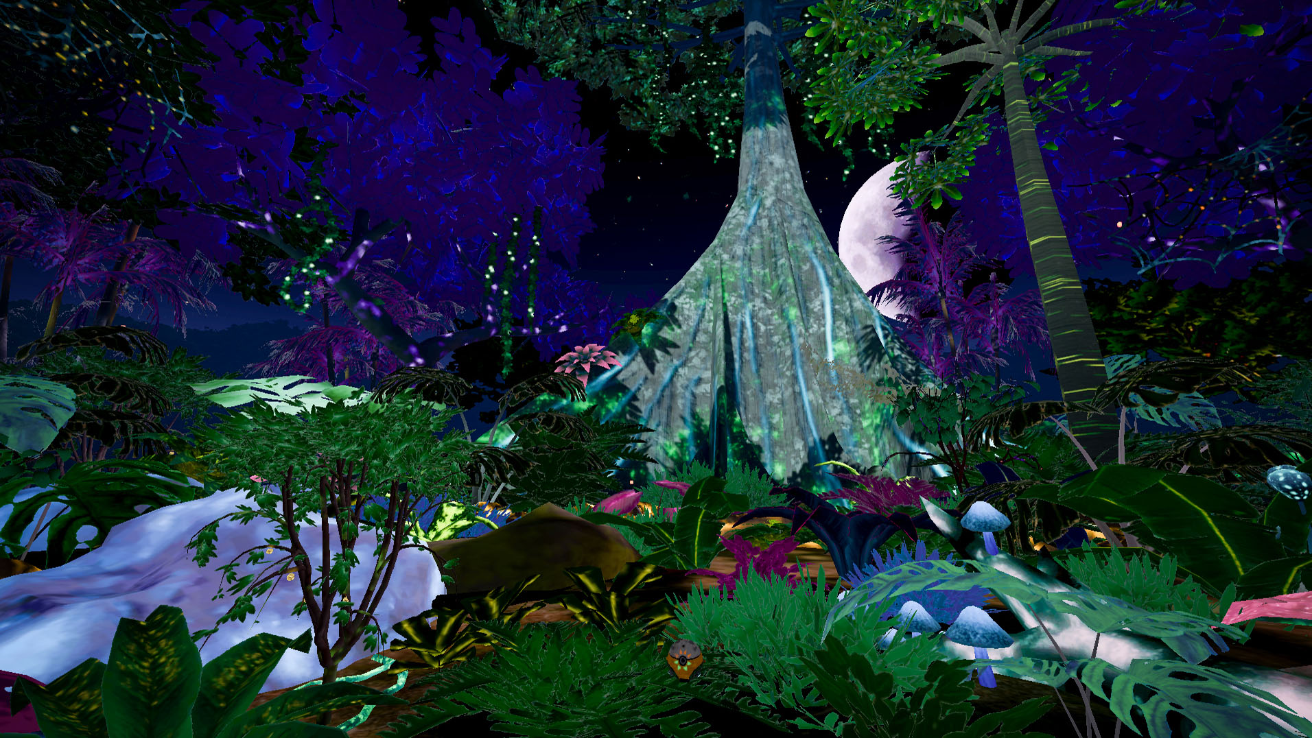 image of studio setting
