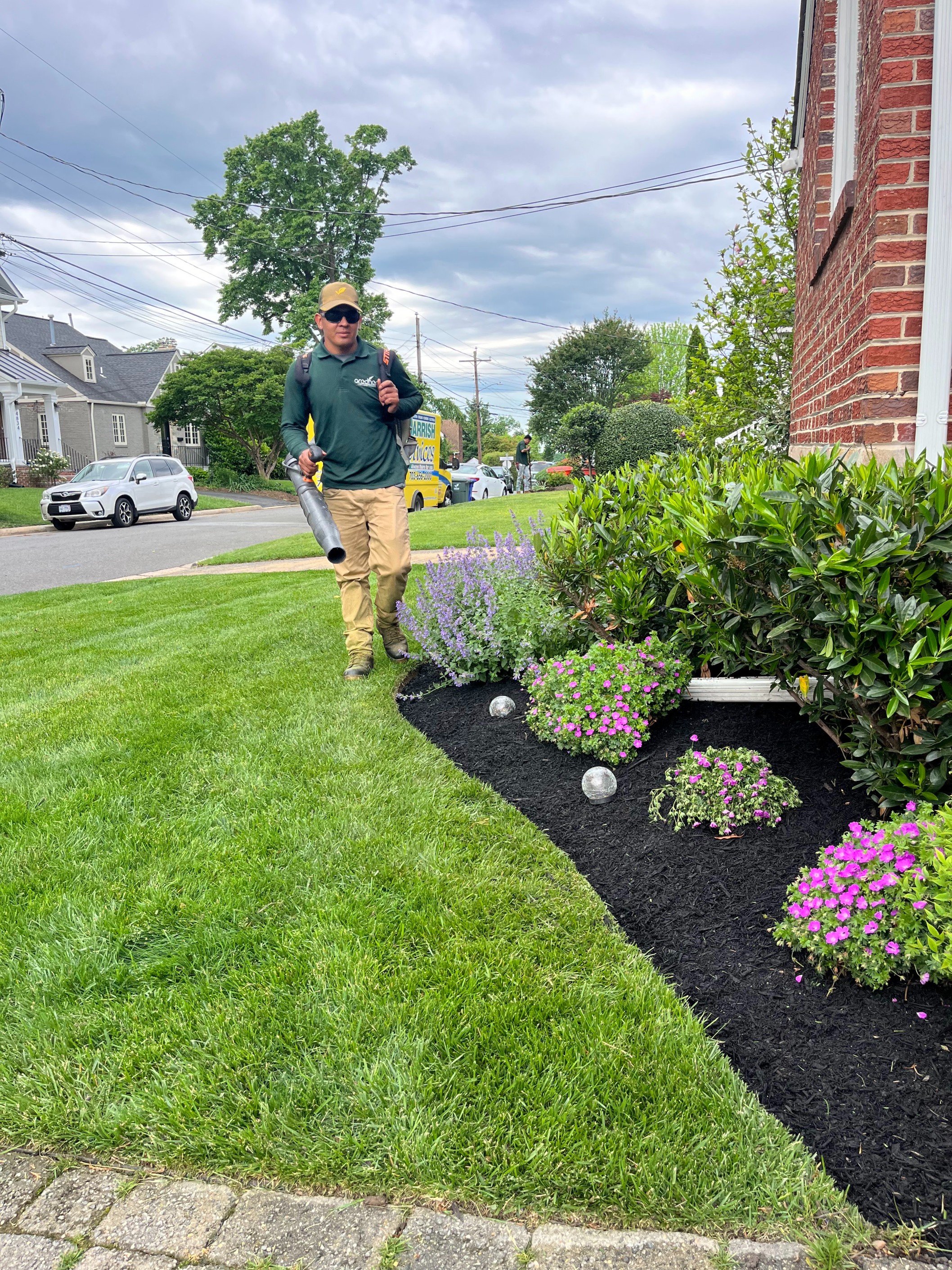 A manicured front yard with a sloped green lawn bordered by garden beds of fresh dark mulch. The beds contain small ornamental grasses, a young tree, and a row of evergreen shrubs, set against a modern white house with stone steps.