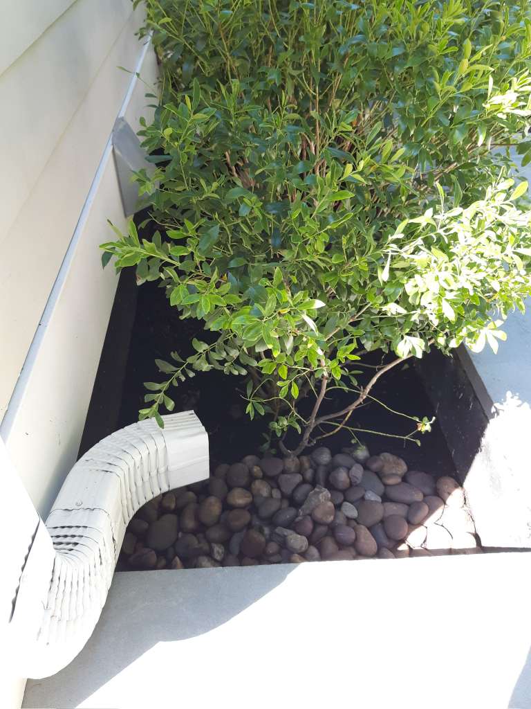 Downspout extension draining into a rock-lined planting bed beside shrubs at a home in Arlington, VA