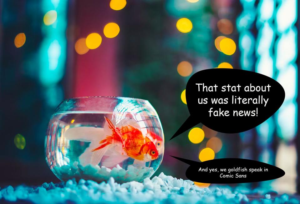 How The Art Of Storytelling Unlocks Our Capacity For Sustained Attention