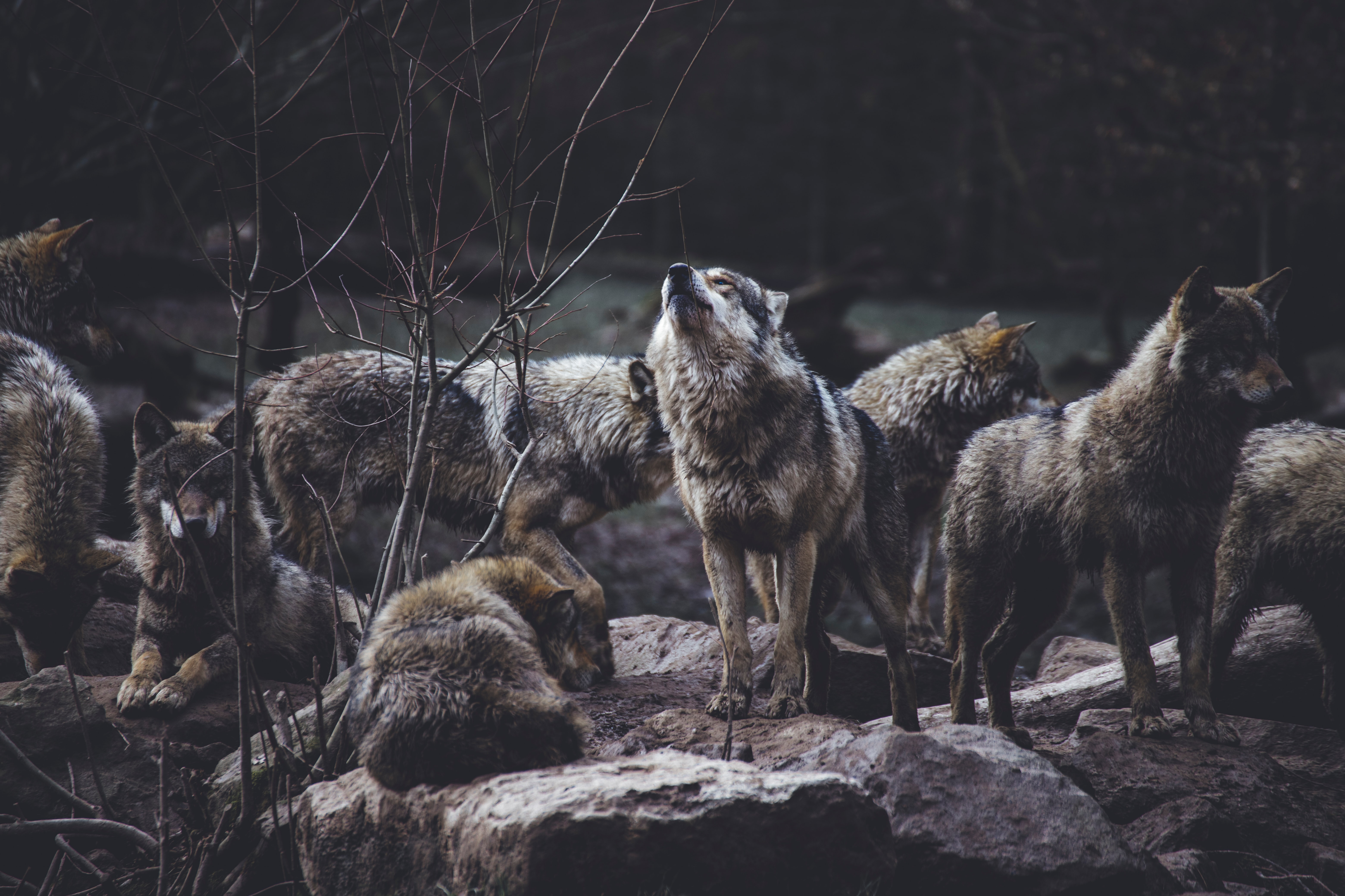 Reexamining the teamwork principles from Built to Last & Good to Great
