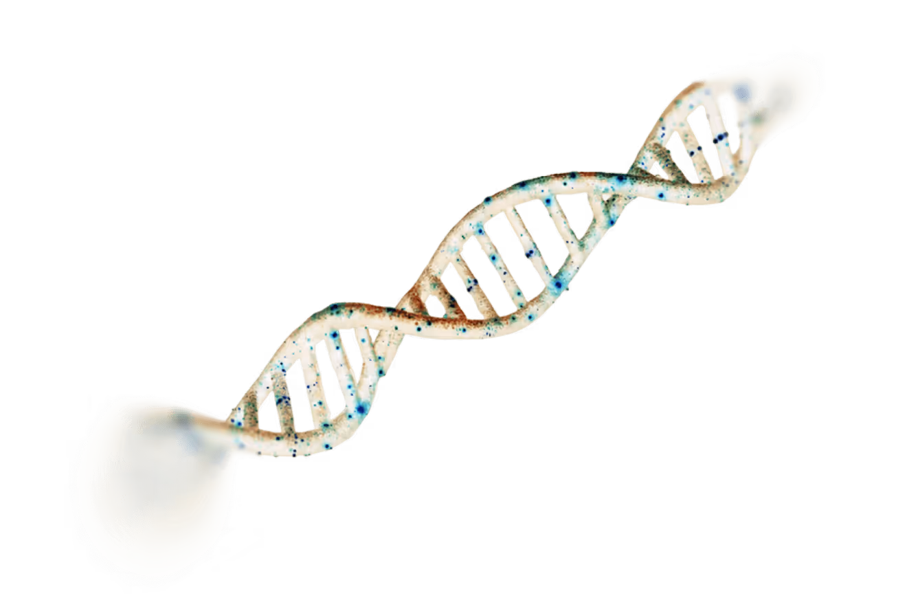 Close-up of a transparent computer chip with visible circuitry and a central microprocessor.