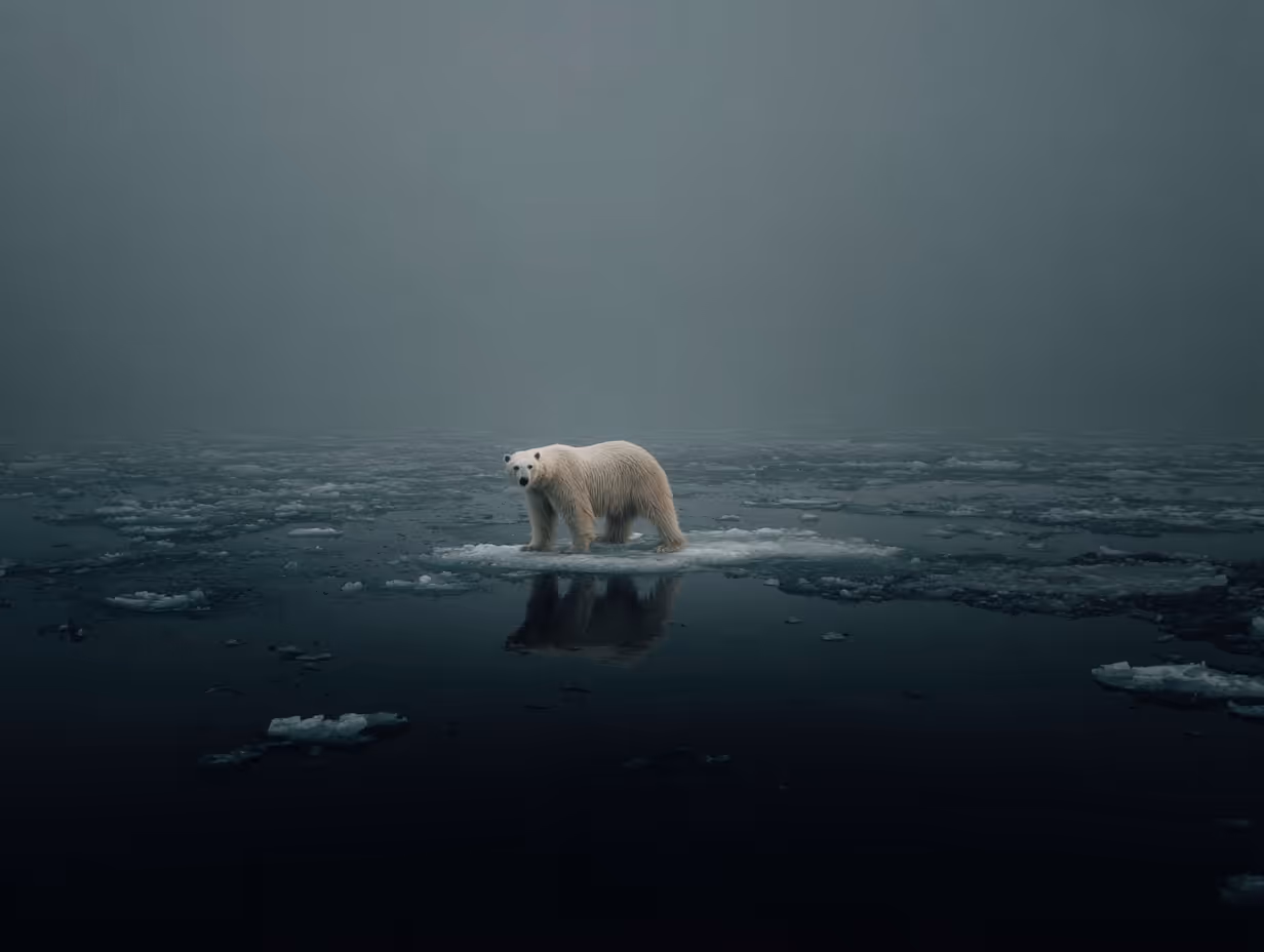Polar bear standing on a small ice floe surrounded by dark, icy water under a foggy sky.