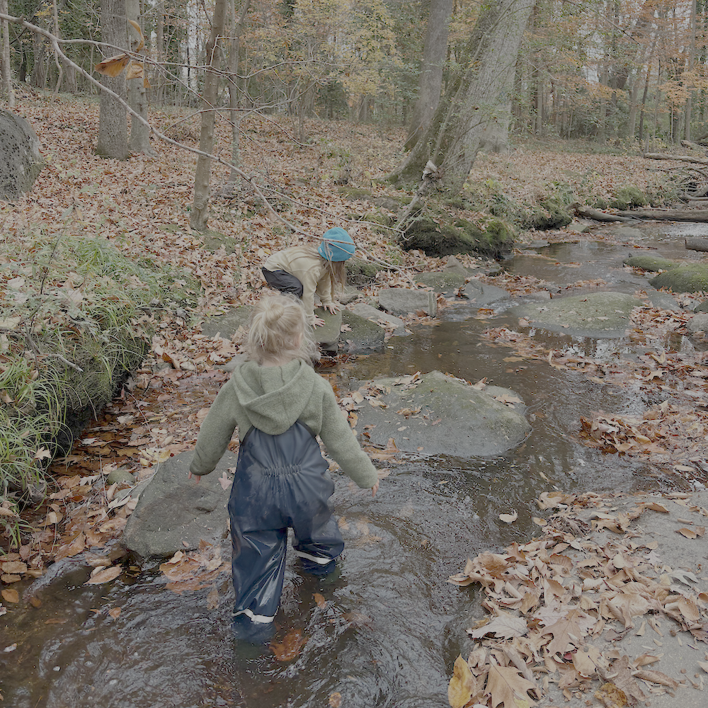 Two children wondering in a forest in the fall