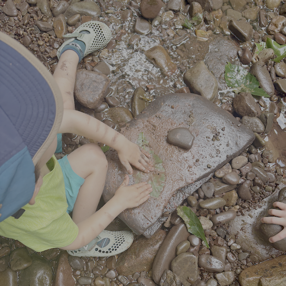 A child playing with rocks in a creek