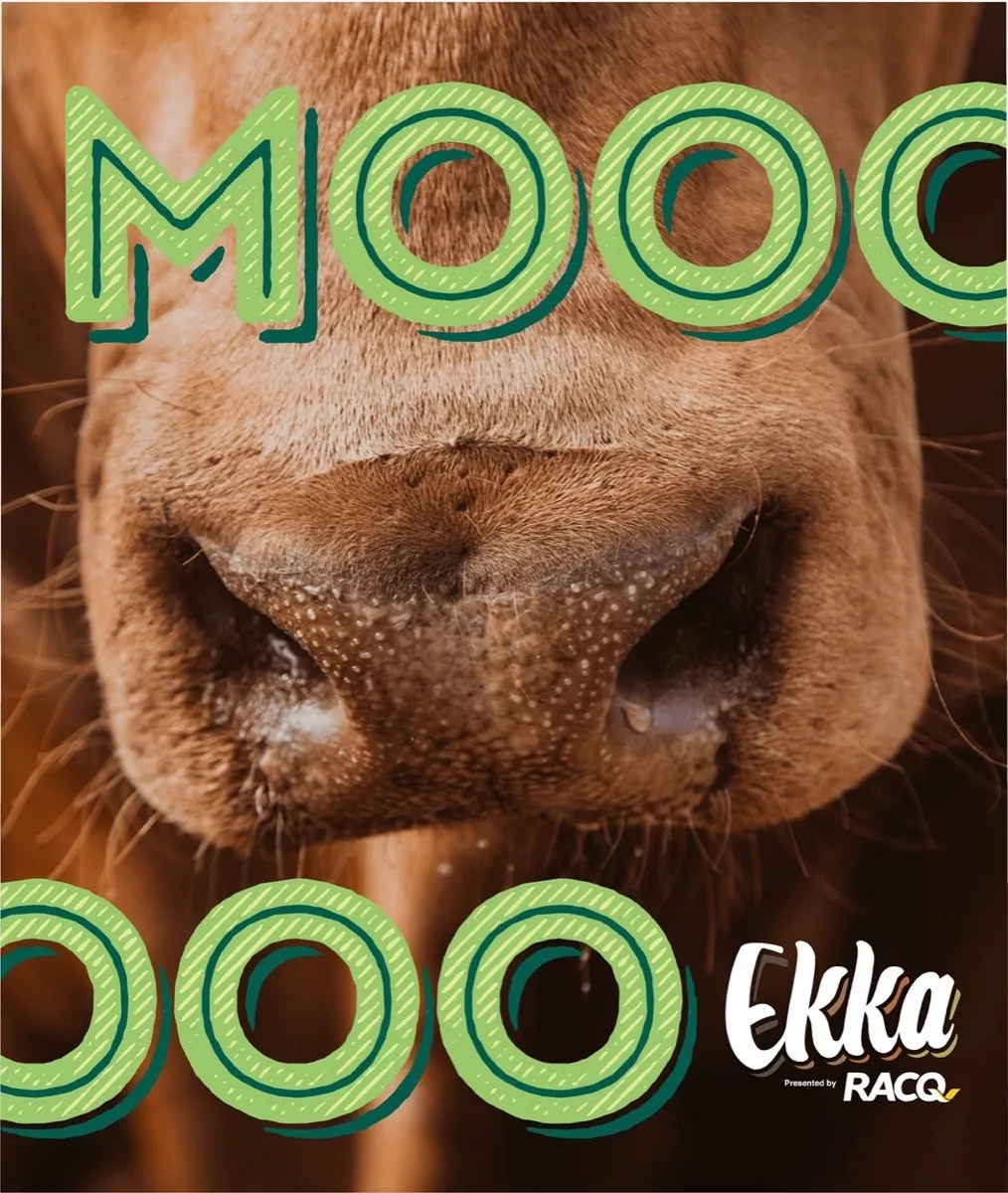 Close-up of a cow's nose with large green letters spelling 'MOOOO' overlaying the image.