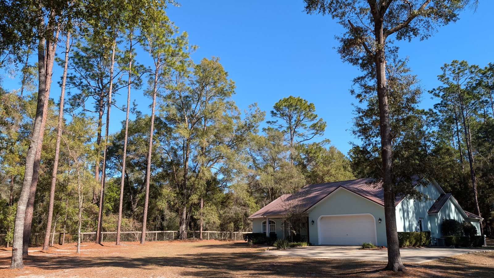After photo showing the same home and cleared yard after pine tree removal