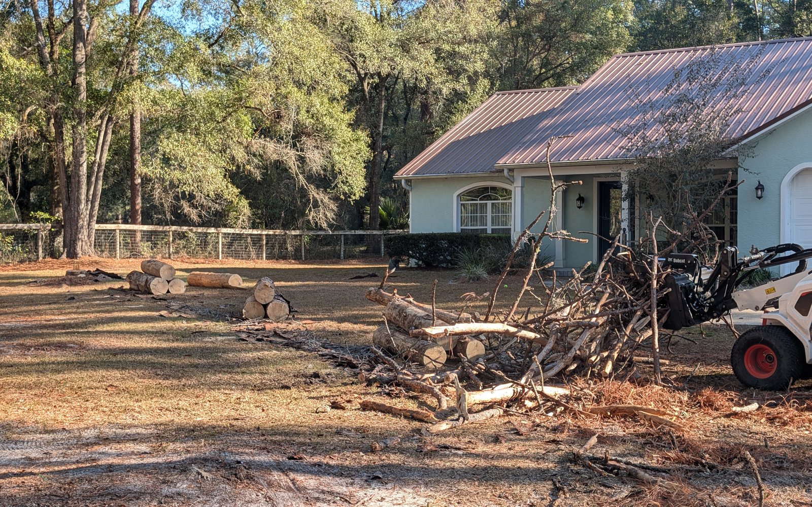 Cleared pine debris and skid steer cleanup work beside a residential property