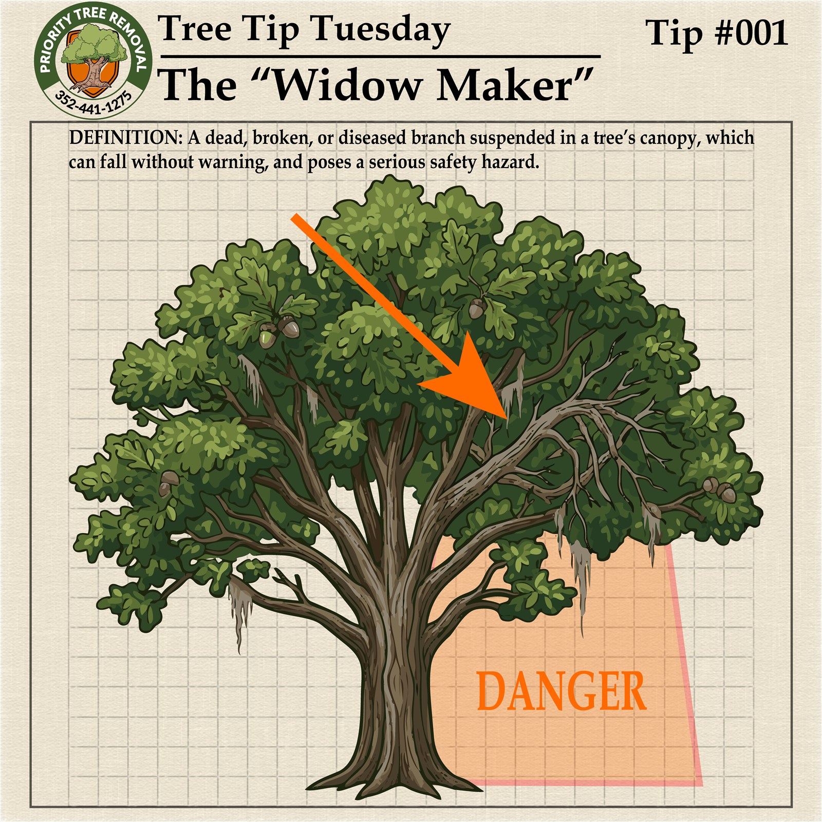 Tree Tip Tuesday Tip 001 graphic explaining hidden dead branches called widow makers