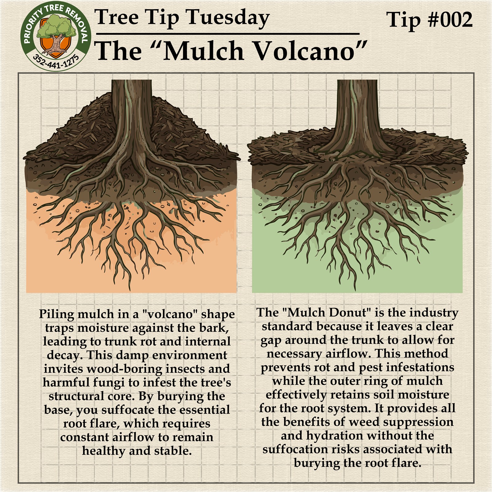 Tree Tip Tuesday Tip 002 graphic explaining mulch volcano problems around trees