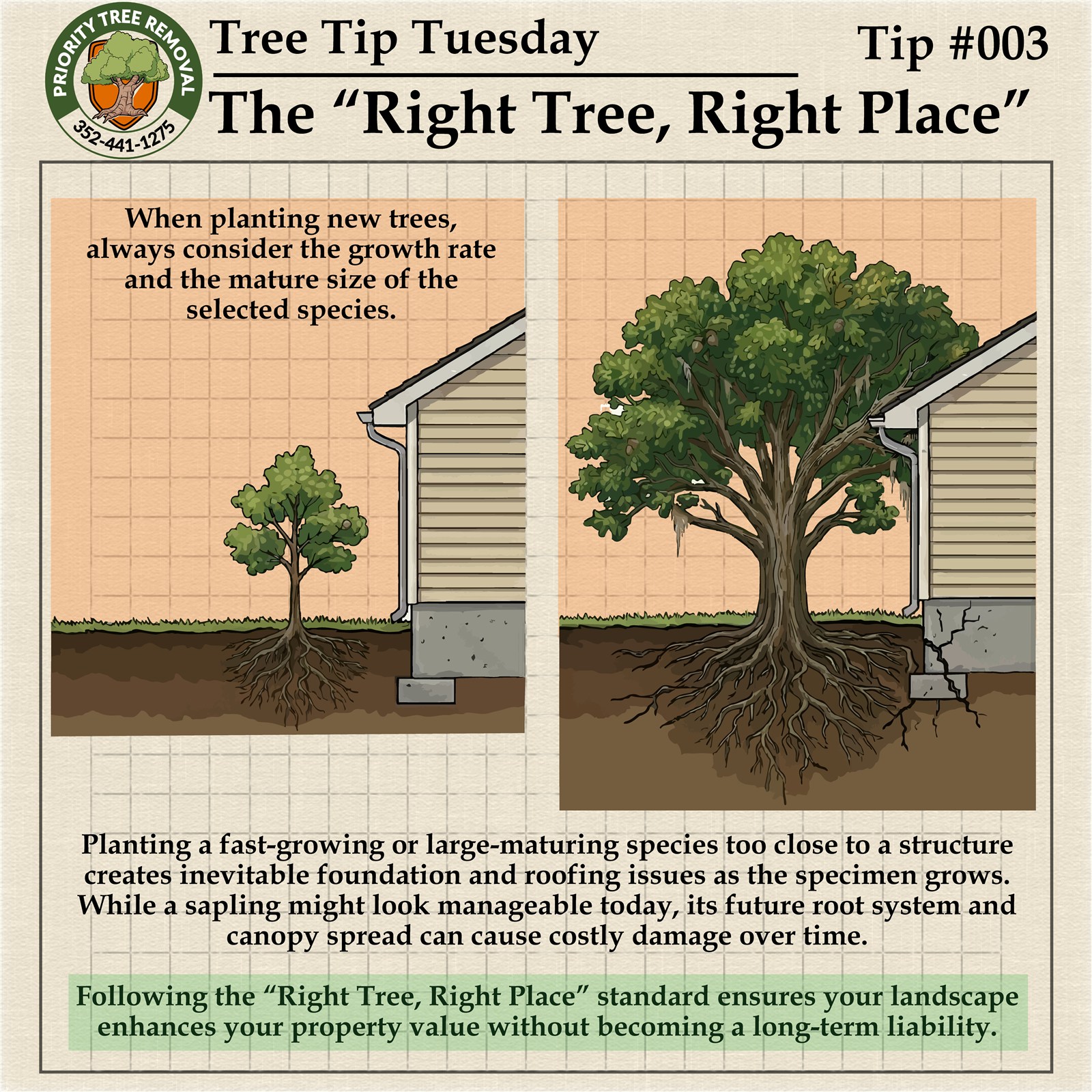 Tree Tip Tuesday Tip 003 graphic about planting the right tree in the right place