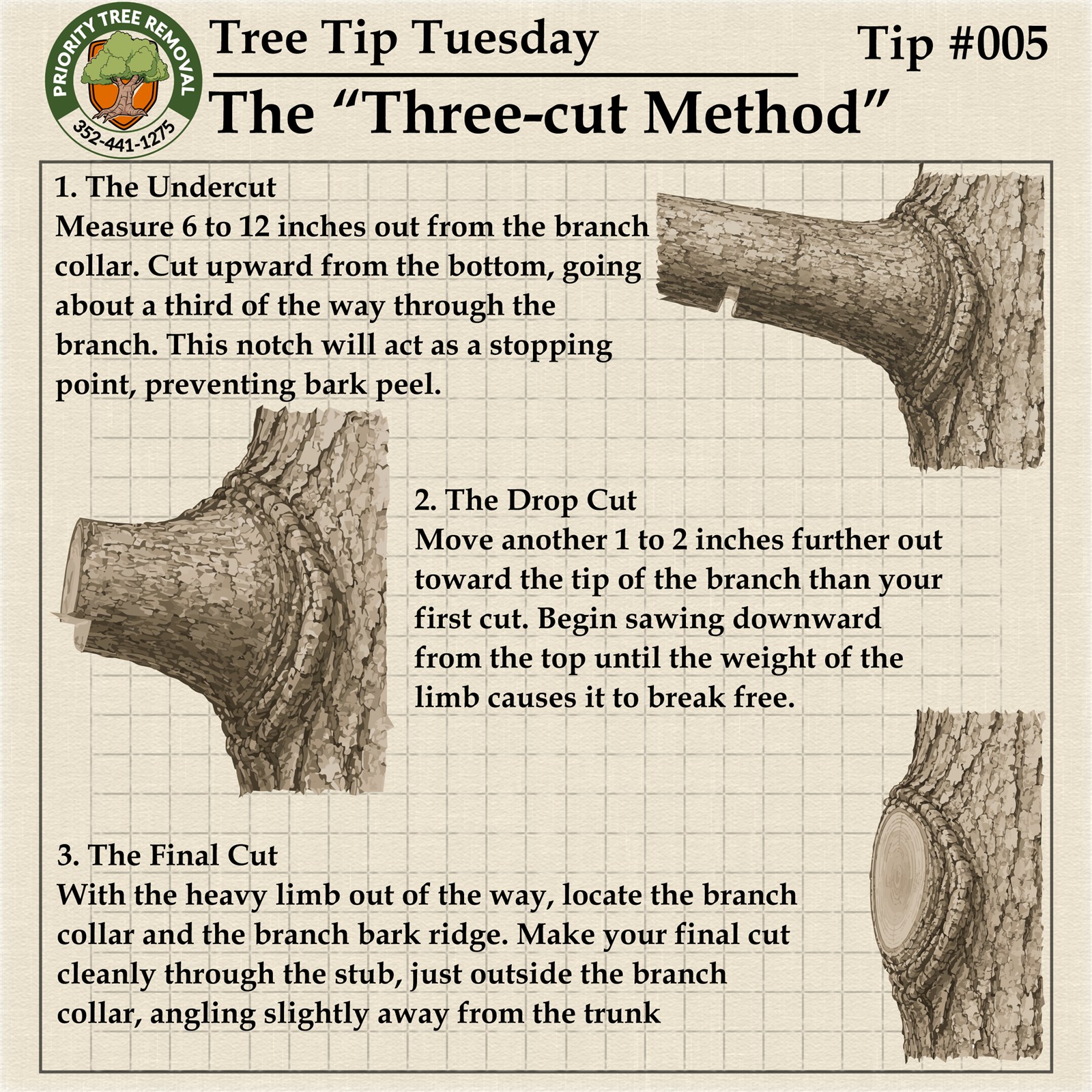 Tree Tip Tuesday Tip 005 graphic showing the three-cut method for pruning branches