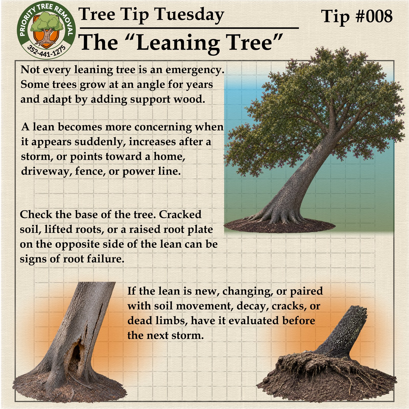 Tree Tip Tuesday Tip 008 graphic explaining when leaning trees may be concerning