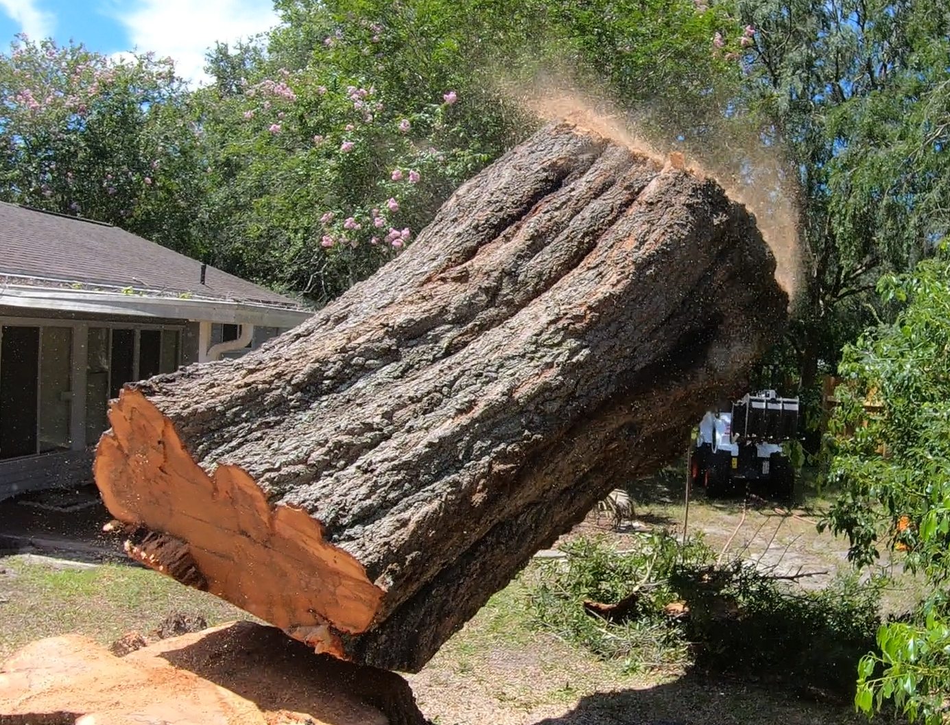 Large log being controlled during tree removal near an Ocala home