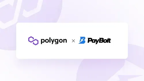 Polygon paybolt logo