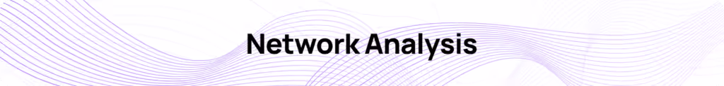 Polygon Network Analysis