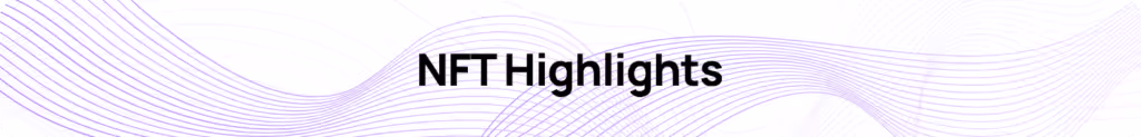Polygon NFT Highlights