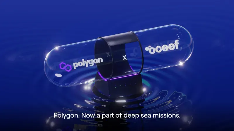 Polygon_OCEEF|