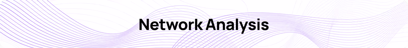 Polygon Network Analysis