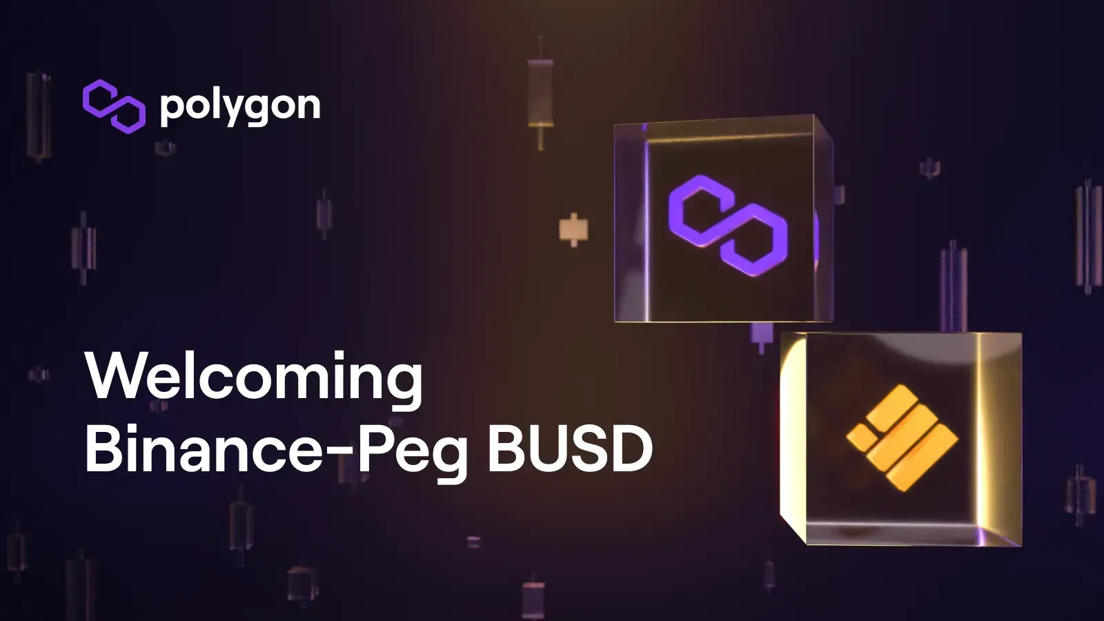 polygon_binance_busd|polygon-binance-usd-busd