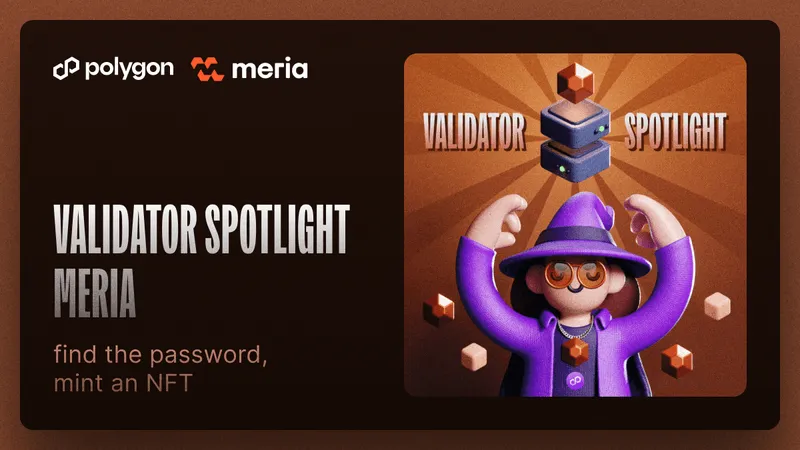 Polygon PoS Validator Spotlight: Meria
