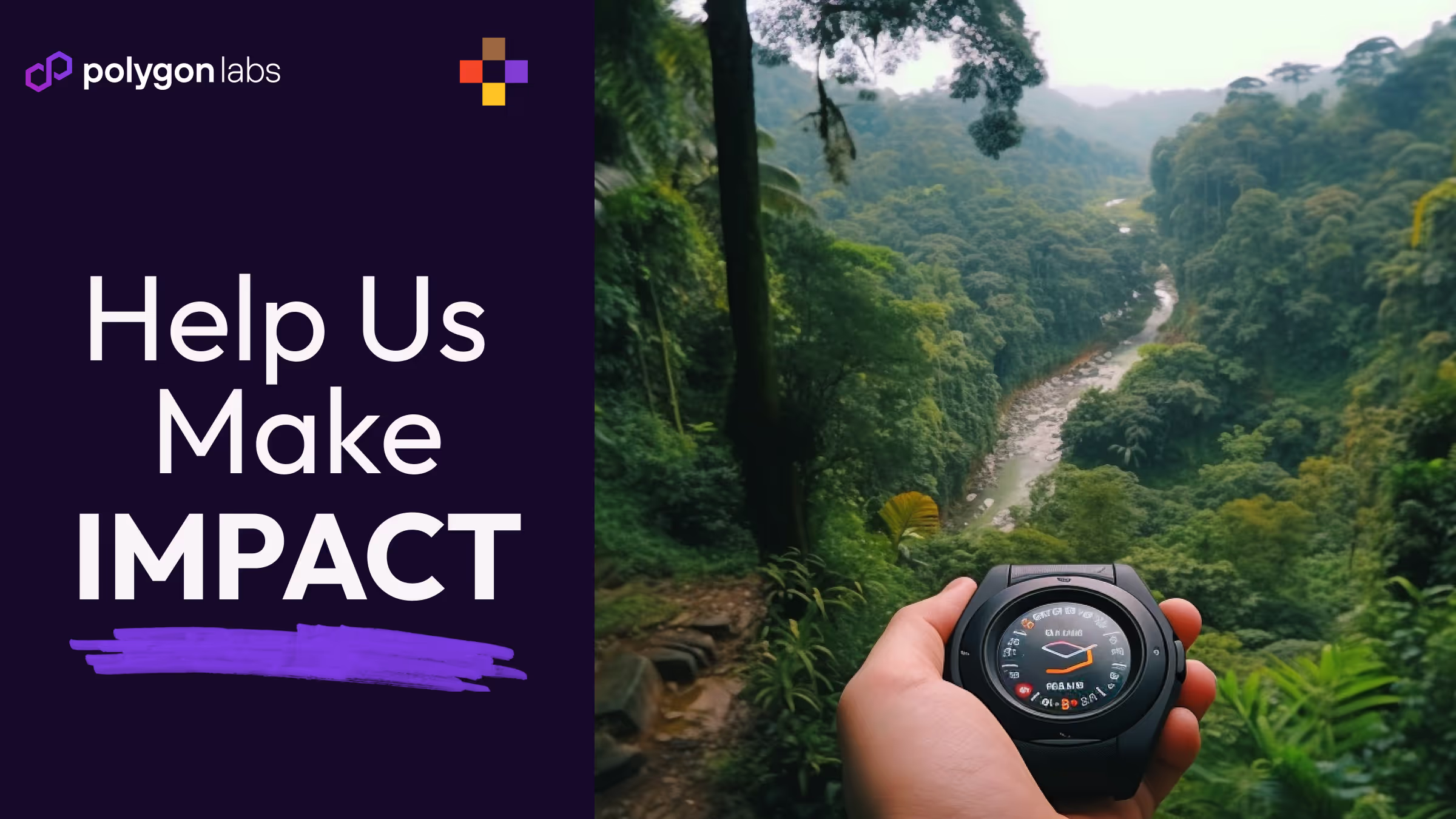 Help Us Make a Difference: PolygonImpact Questionnaire