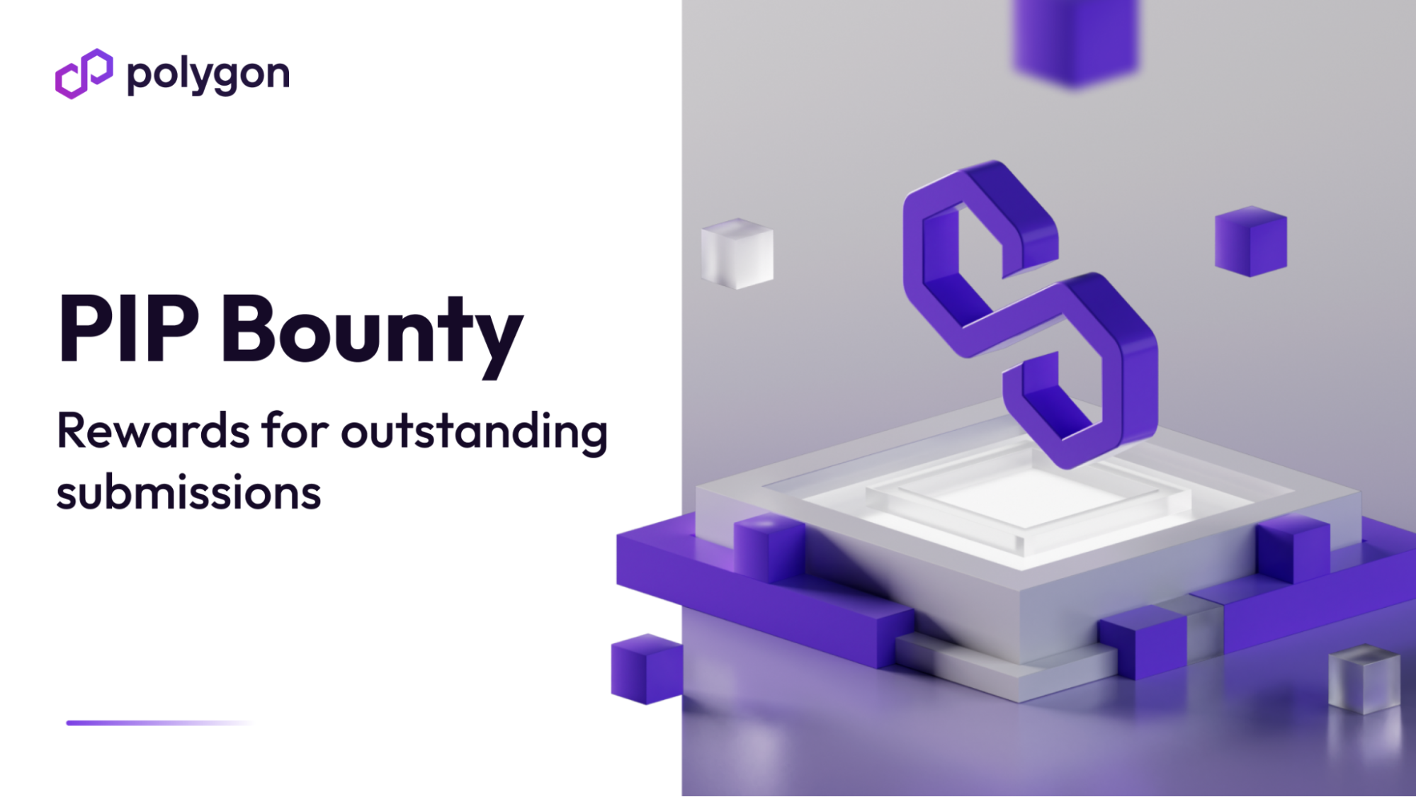 Announcing Bounty Program for PIP Submissions