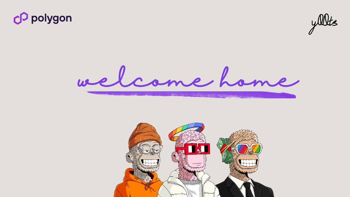 Y00ts Migration to Polygon is 77% Complete