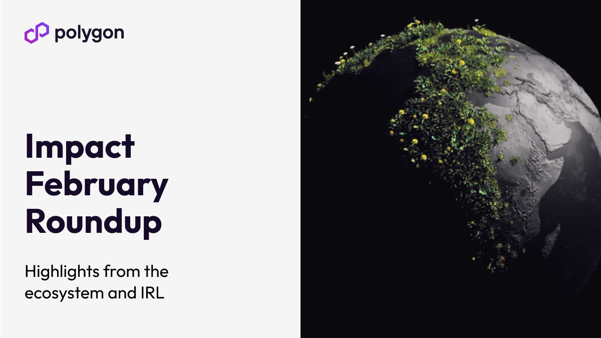 Polygon Impact Roundup, February 2022