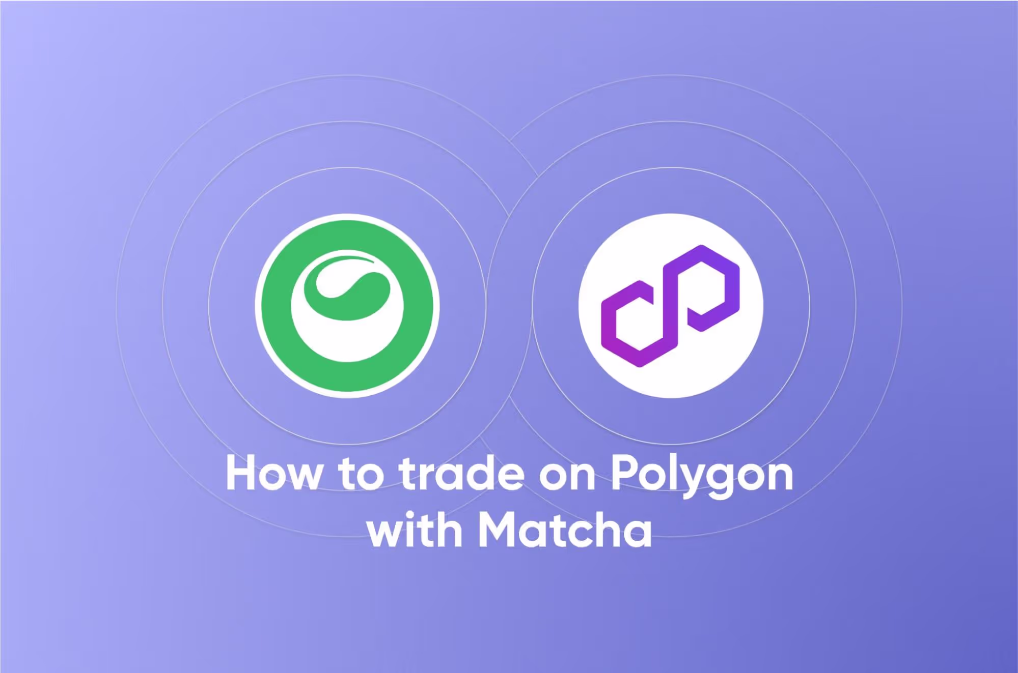 Polygon Walkthrough matcha series