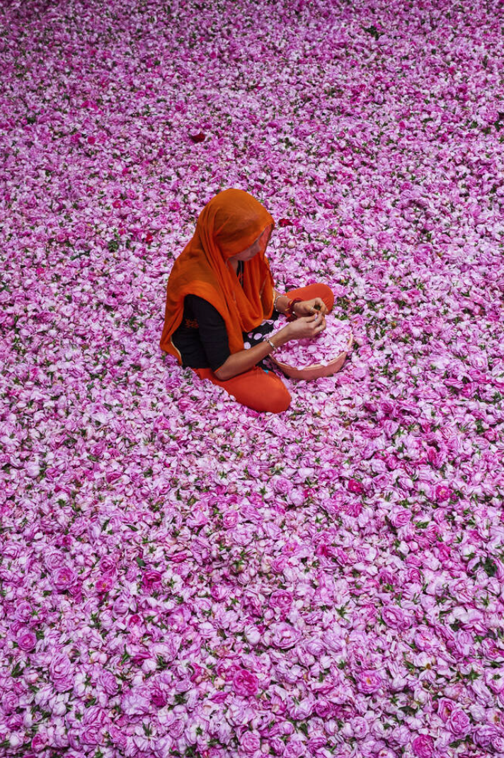 image of an immersive travel experience