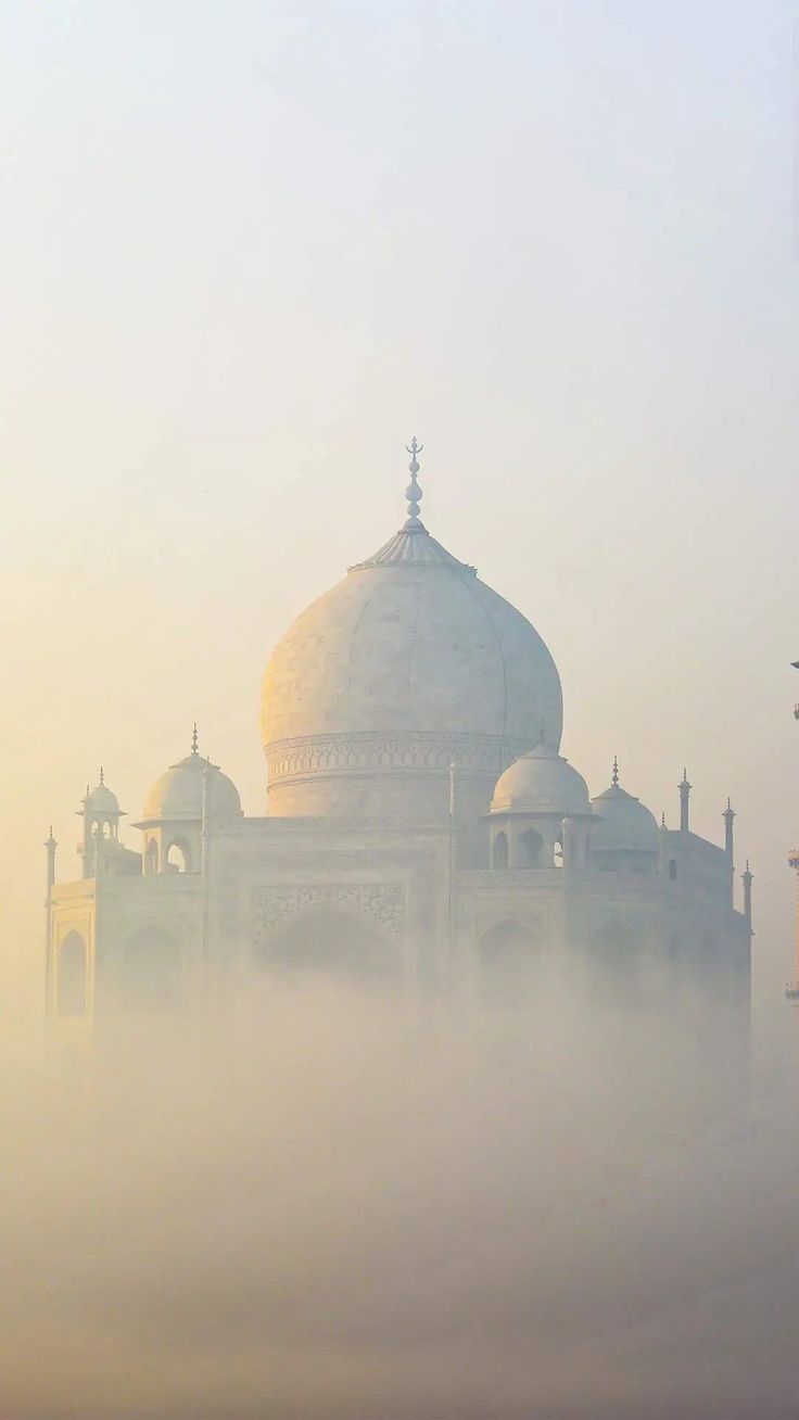 holistic approach illustration 3