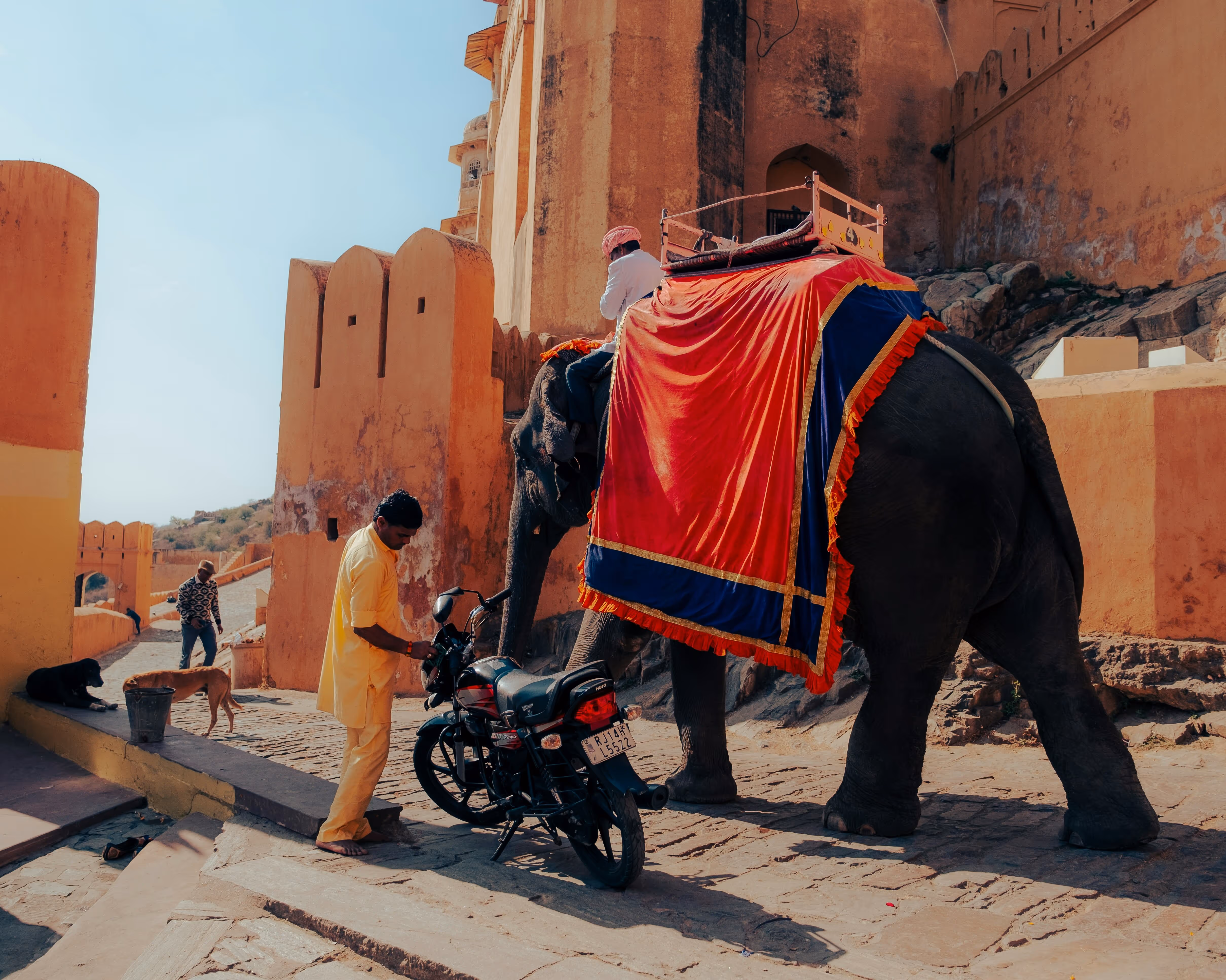 image of a cultural dance performance