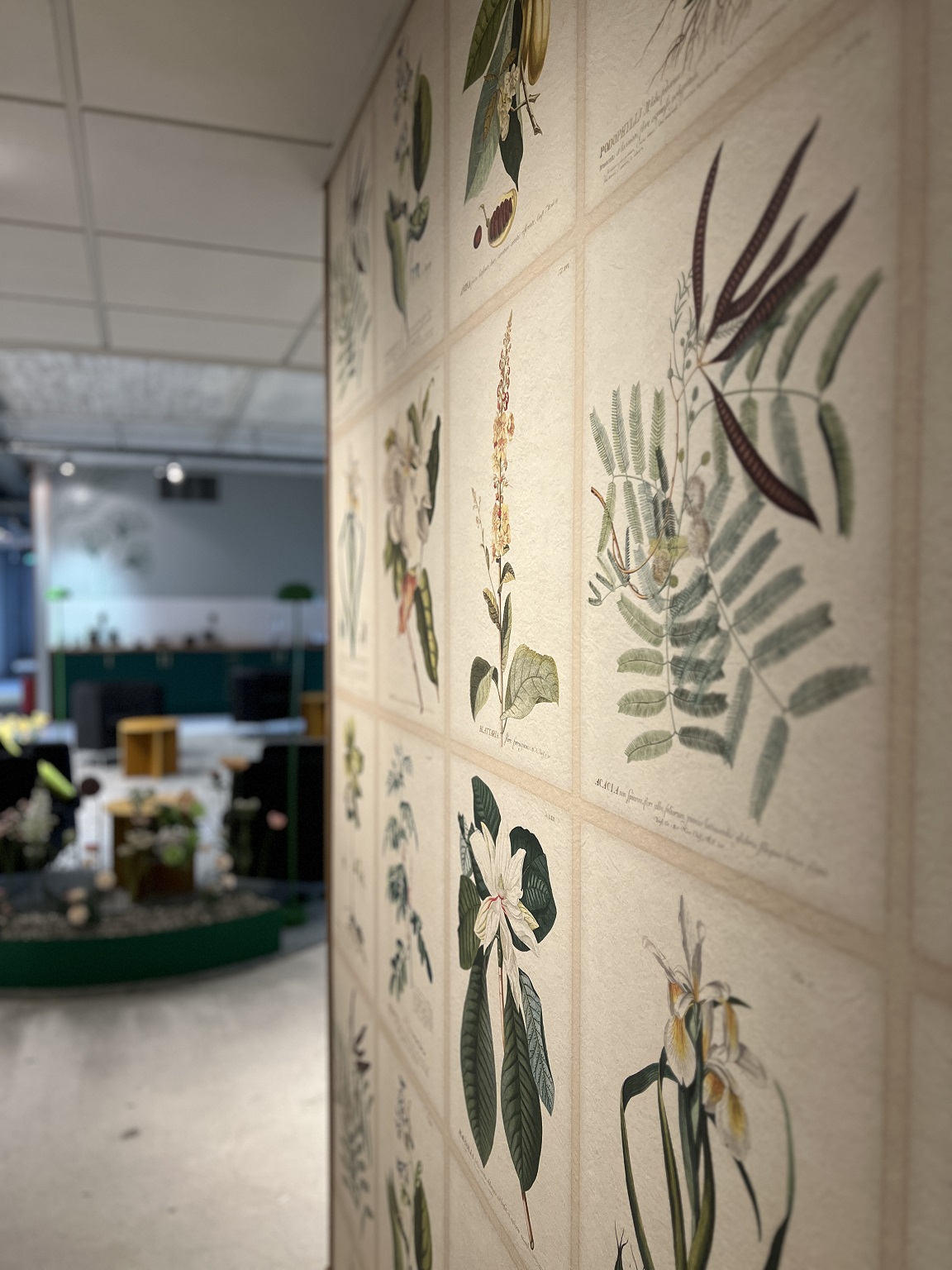 Illustration av botanisk blomma som symboliserar företagshälsovård