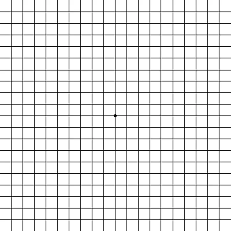 Grid of black squares with a single black dot in the center.