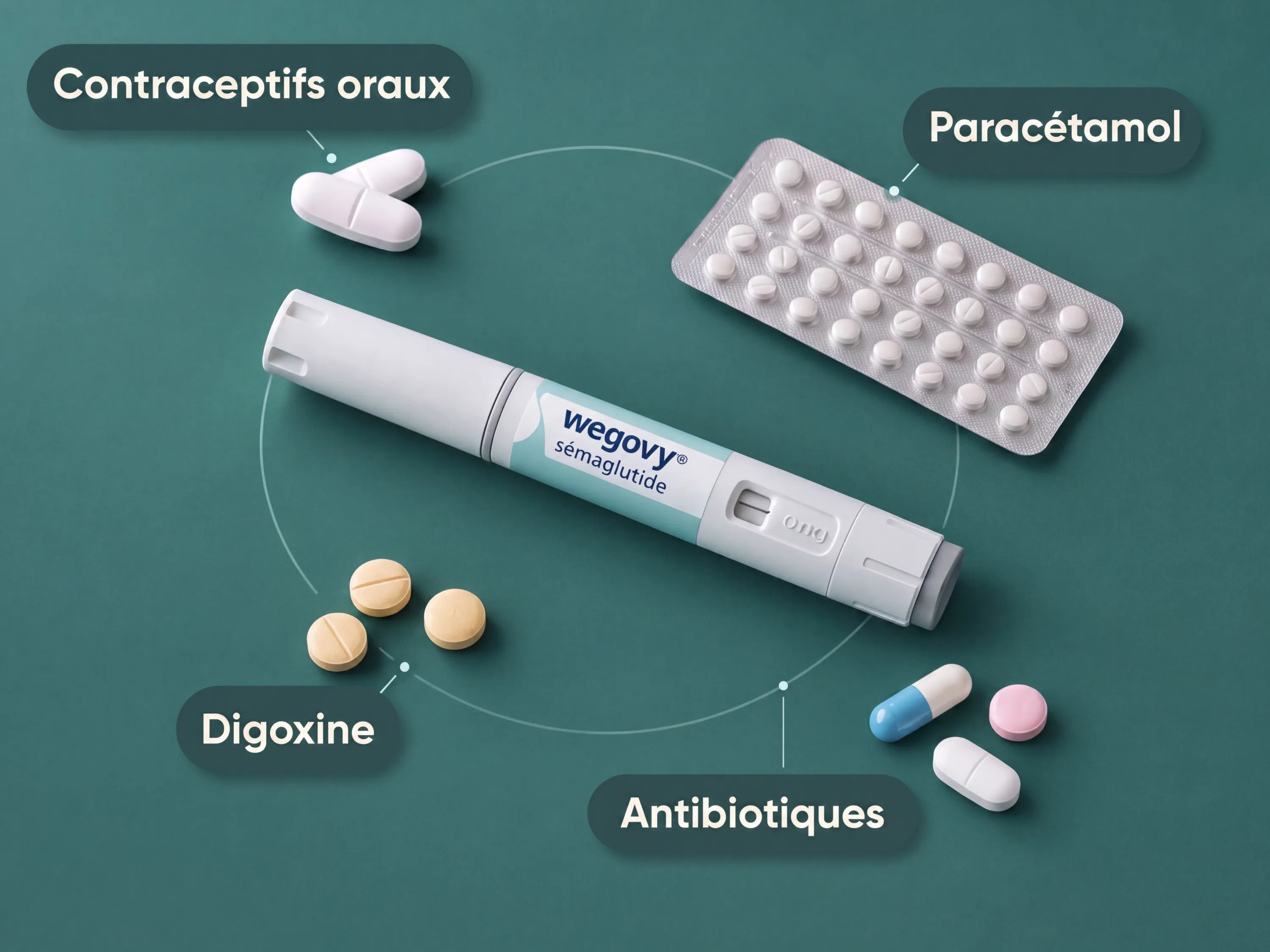 Infographie : stylo Wegovy entouré de médicaments interagissant — contraceptifs, paracétamol, digoxine, antibiotiques.